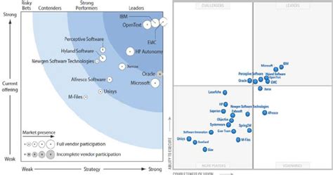Gartner Magic Quadrant & Forrester Wave Analyses .
